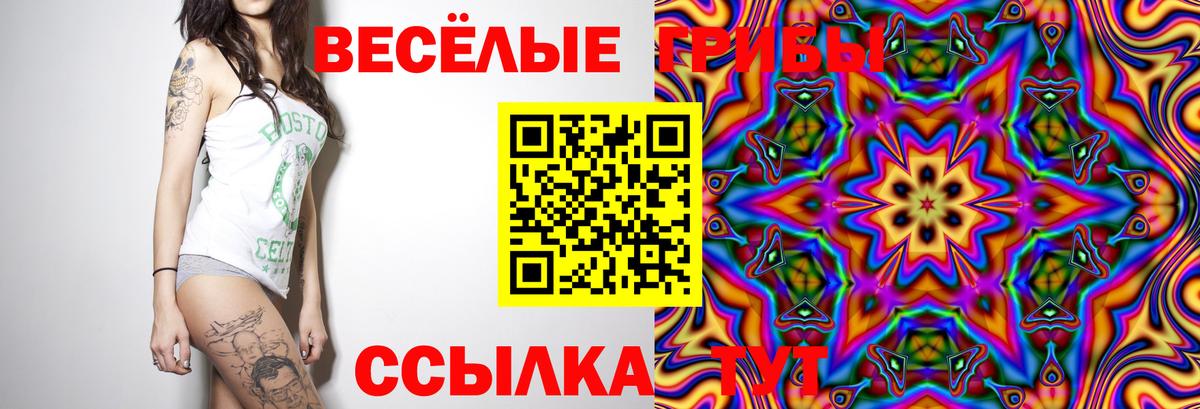 Галлюциногенные грибы Magic Shrooms Волгодонск